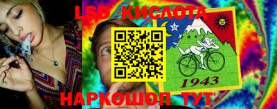стафф Абинск