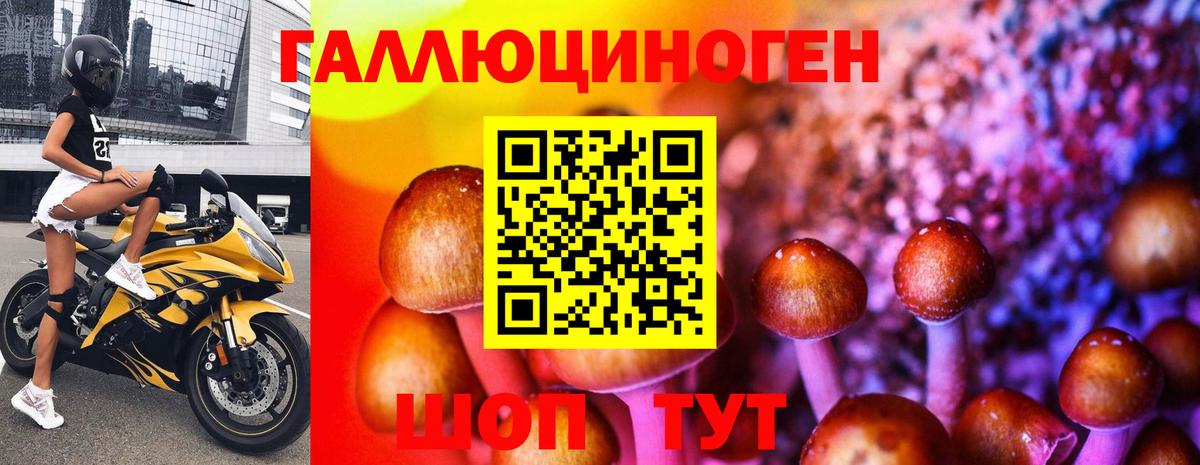 Псилоцибиновые грибы Psilocybine cubensis Ангарск